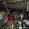 pachiza-2012